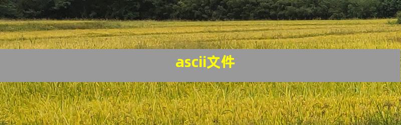 ascii文件