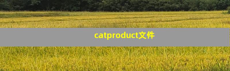 catproduct文件