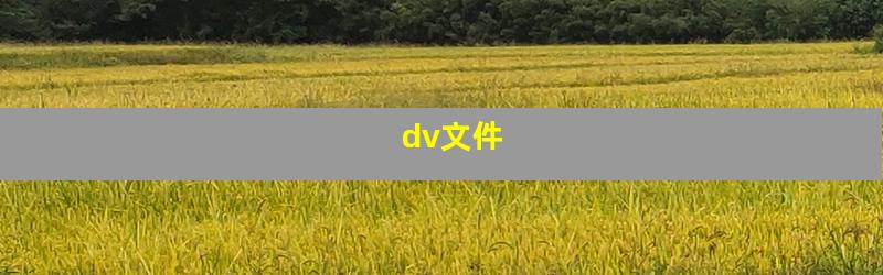 dv文件