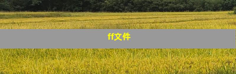 ff文件