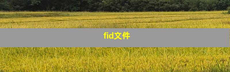 fid文件