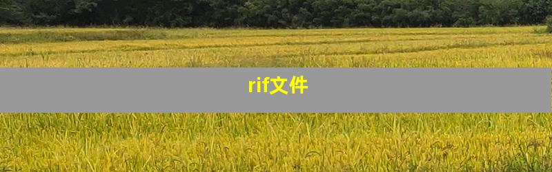 rif文件
