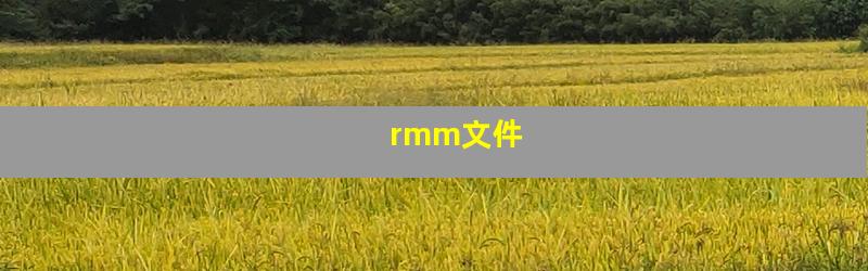 rmm文件