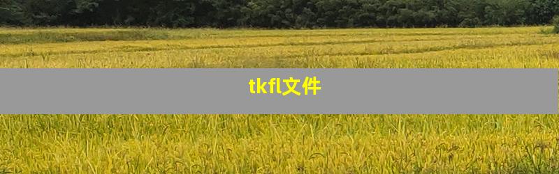 tkfl文件