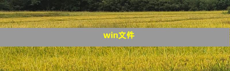 win文件