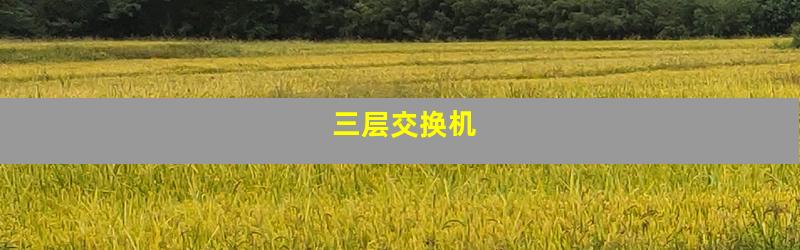 三层交换机