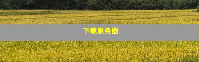 下载服务器