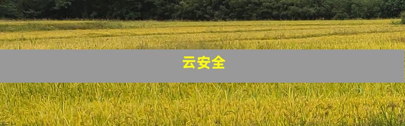 云安全