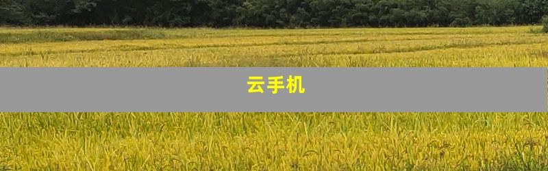 云手机