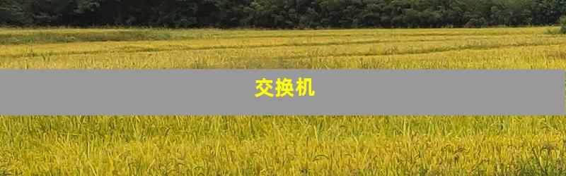 交换机