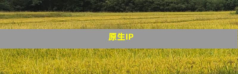 原生IP