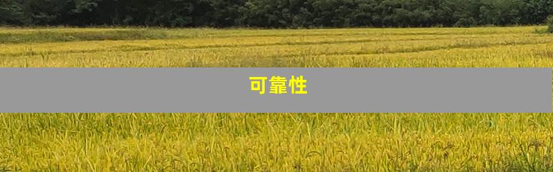 可靠性