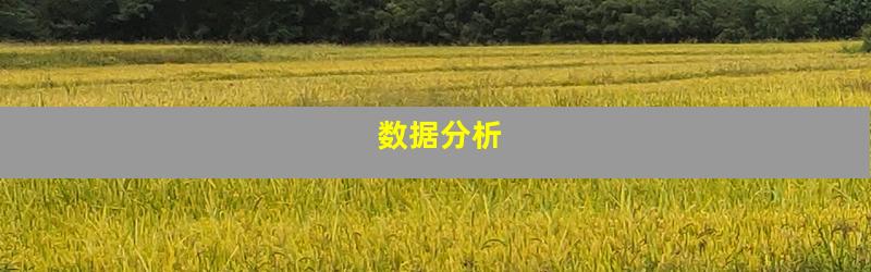 数据分析