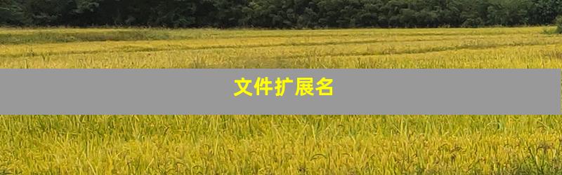 文件扩展名