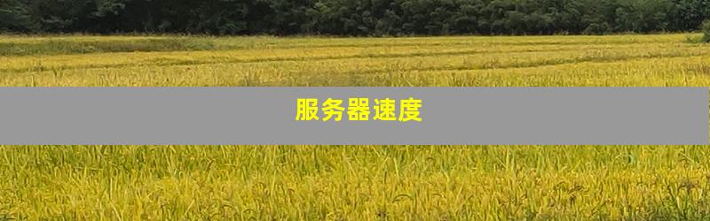 服务器速度
