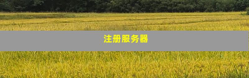 注册服务器