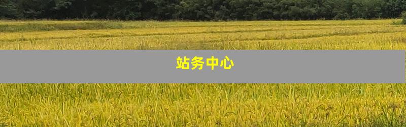 站务中心