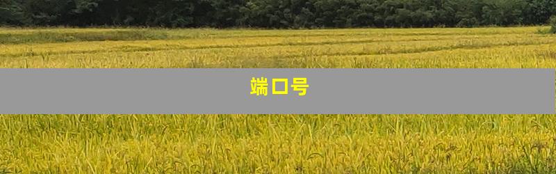 端口号