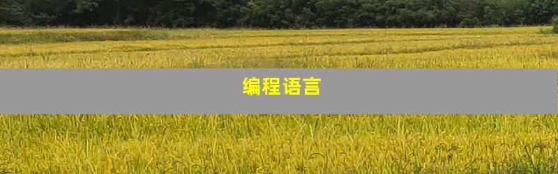 编程语言