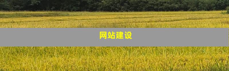 网站建设