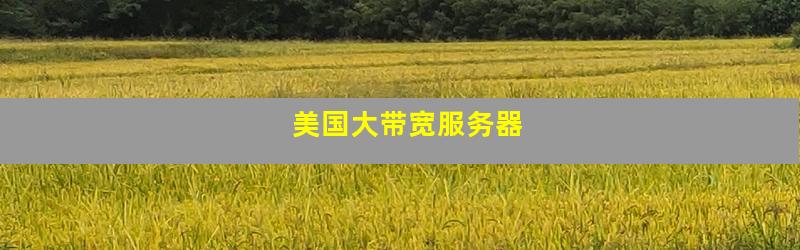 美国大带宽服务器