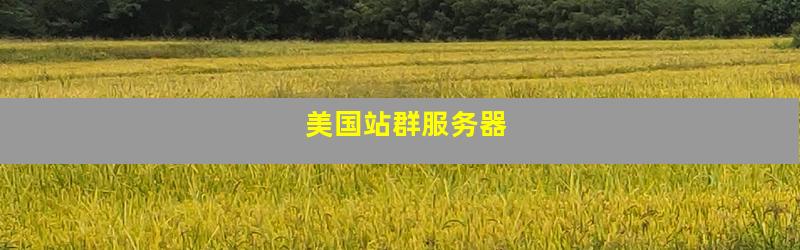 美国站群服务器