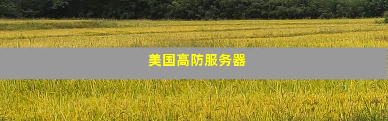 美国高防服务器
