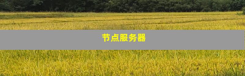 节点服务器